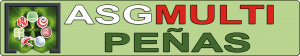 ASG_Multi